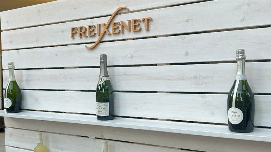 freixenet villla experience